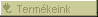 Term�keink